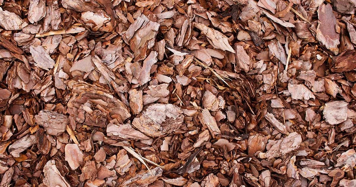 Decorative bark