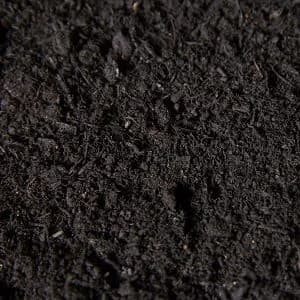 Peat free compost